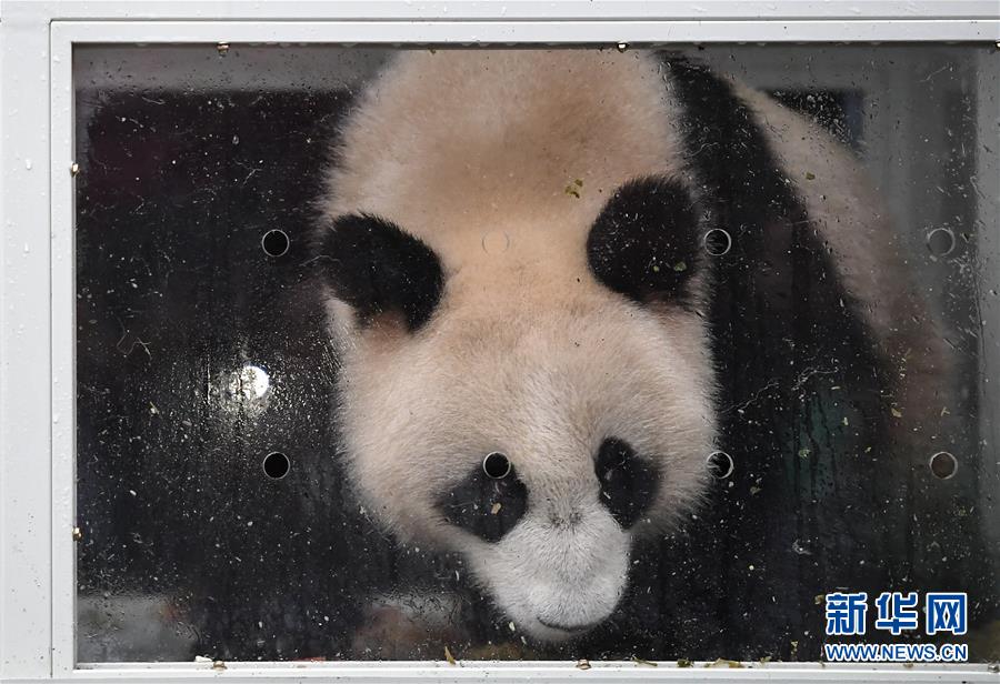 吸血鬼幸存者通过福地能解锁什么