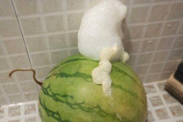 鬼谷八荒拍卖会开启时间是什么时候