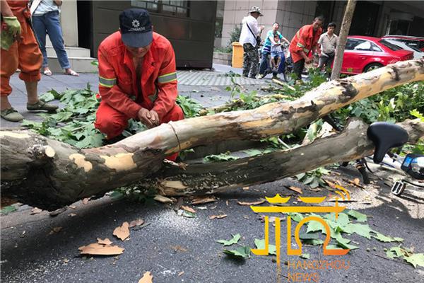 怪物猎人崛起太刀什么技能好用