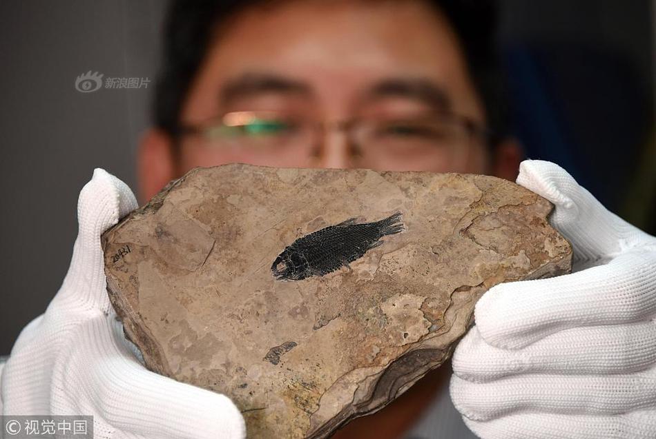  死寂游戏配置要求怎么样
