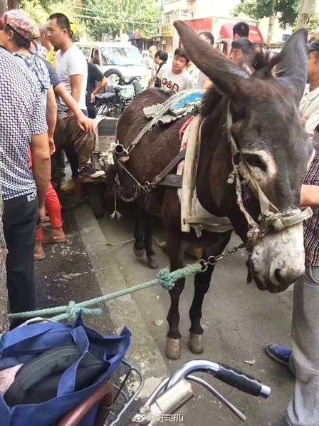 艾尔登法环盖利德的篝火在哪里